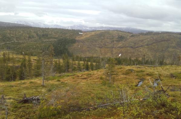 Følg vegen i 2,4 km til vinter- parkeringsplassen på Bårdsgardsdalen. Bomavgift kontant betaling.