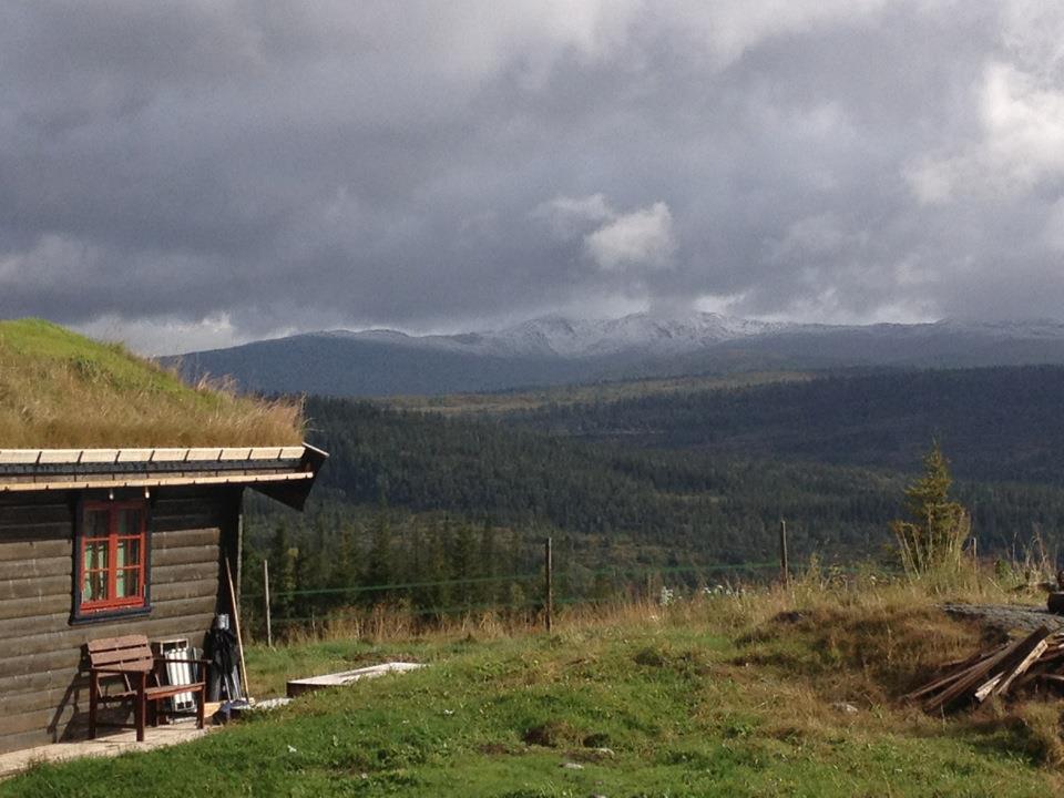 Post 5 - Langsethvollen Vegbeskrivelse: Fra Tømmerdalen: Ta av Tømmerdalsveien i Tømmerdalen, 3,5km fra Tømra. Bomavgift - KONTANTER.