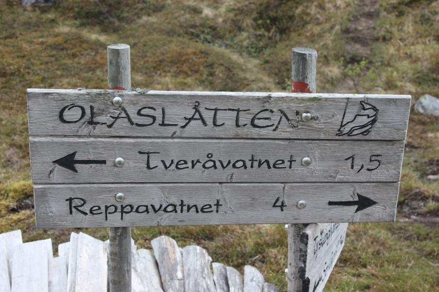 Du går stort sett på fjell, men det er noen partier over myr.