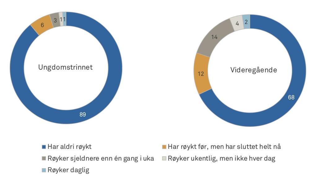 Røyker du?