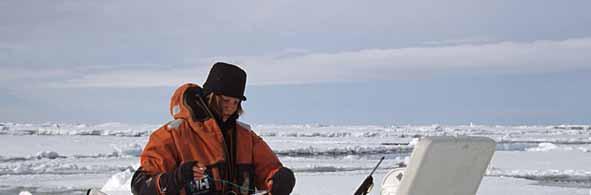Nytt program for polarforskning Innenfor bevilgningen fra Kunnskapsdepartementet til Norges forskningsråd, skal minst 45 millioner kroner nyttes til et nytt program for polarforsking.