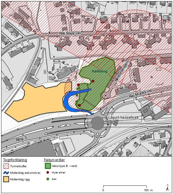 Figur 25: Kart over Rektorhaugen. Naturmiljø. Slik de tekniske planene foreligger vil det bli et inngrep i naturtypen lågurt hasselkratt.