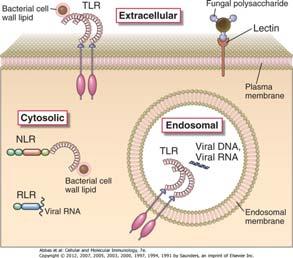 immunity http://www.nobelprize.