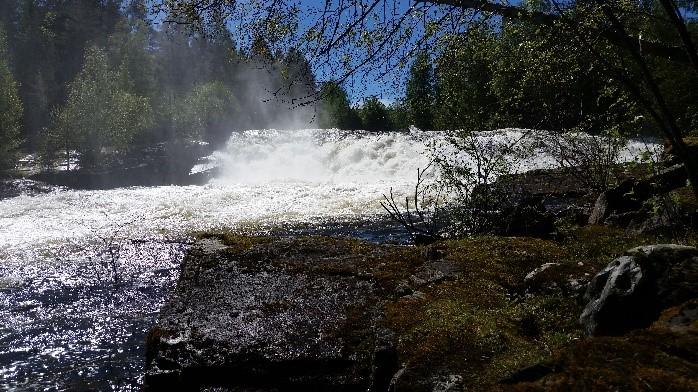 Resultatet fra vannprøvene viser svært god vannkjemi. Stort sett lave E. coli verdier, men litt høyt på sommerprøven.