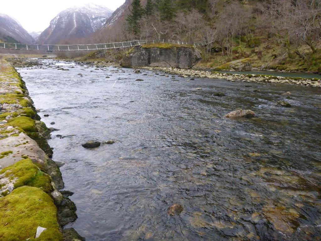 1365 Ferskvannsbiologiske undersøkelser i Daleelva i Høyanger