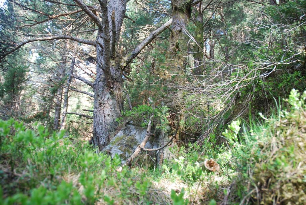 Vågsvåg vindkraftverk Figur 3.