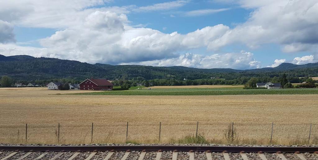 kommunen og fra viltforvalter i fylket, var det en runde rundt bordet der hver grunneier presenterte hvilke spesifikk utfordringer de har med gjess på eiendommen i vekstsesongen.