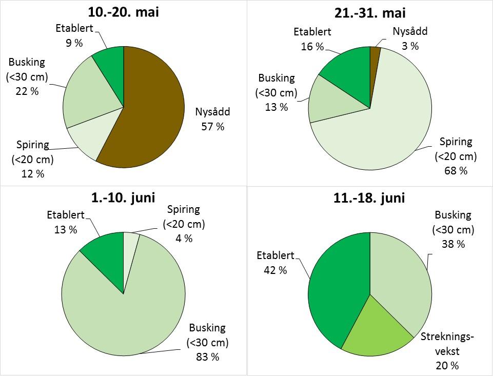 Figur 15 Prosentvis fordeling av gjess (summert for både grågås og hvitkinngås) registrert på ulike stadier av åkervekster (uavhengig av hvilken vekst det er) på Jarlsberg Hovedgård, Tønsberg 2016.