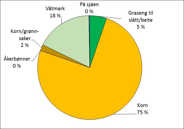 Figur 20 Prosentandel av gjess (grågjess og hvitkinngjess samlet) på ulike markslag i Sande kommune, samlet for perioden 16. september - 8. oktober 2017.