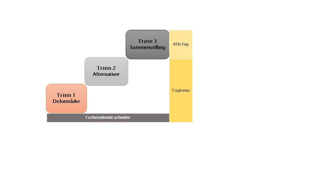 Trinnvis metode Hovedfokus i