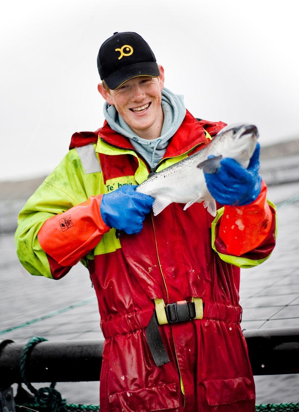 Hvorfor vannbåren fôring?