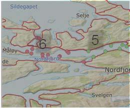 sjøørreten Akustisk telemetri (AT) er godt egna metode for å kartlegge og kvantifiser disse prosessene Mål: vise anvendelse av AT-data i vestnorske fjordsystemer for å