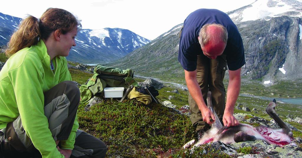 3. BRUKARINTERESSER 3.1 JAKT, FANGST OG FISKE Status Det blir jakta på hjort, villrein, elg, li- og fjellrype og noko rådyr og hare i verneområda. Jakt på hjort føregår både i Luster, Skjåk og Lom.