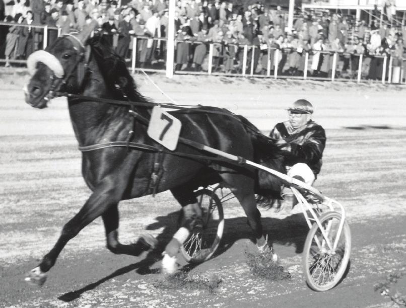 Han fikk sin trenerlisens i 1931 og begynte sin karriere som travtrener på Momarken. I 1936 slo han seg ned på Bjerke Travbane.