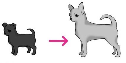 C-lokuset hos hund er fortsatt litt uklart, og de teoretiske allelene er basert på deres tilstedeværelse hos andre arter. Det er ikke entydig bevist at ekte albinisme eksisterer hos hunder.