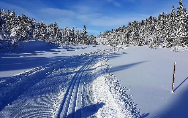 Vi har registrert at Skisporet.no og vi i løyplaget har brukt forskjellige navn på løypene våre. For å rydde opp i dette har vi kommet til enighet om følgende løypenavn.