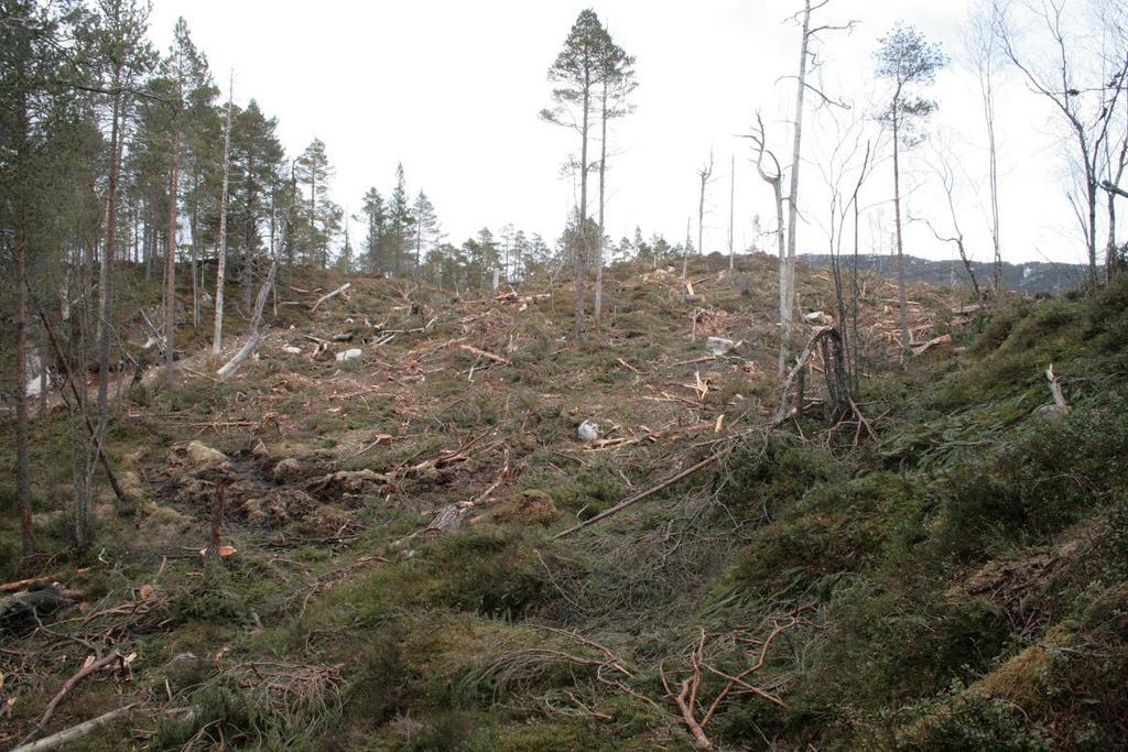 sett frå sørvest.