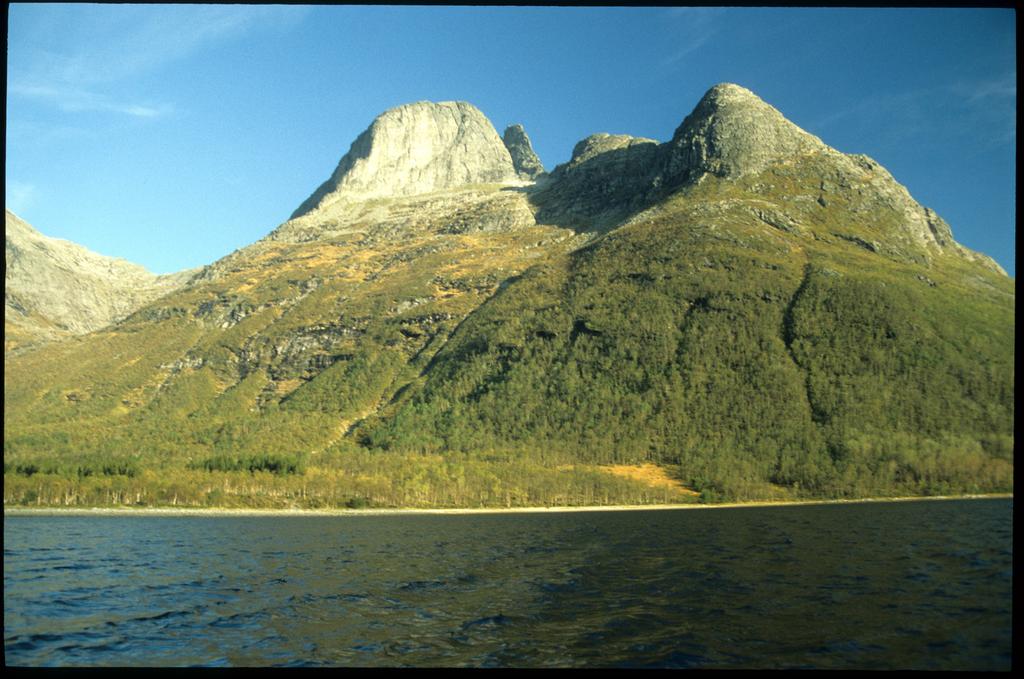 Sjunkhatten Klatring på Sjunkhatten er grundig skildra i Fjellfører for Bodø frå 1995. Sidan den gong er det gått fleire nye ruter på fjellet og fjellet har dessutan fått første vinterbestigning.