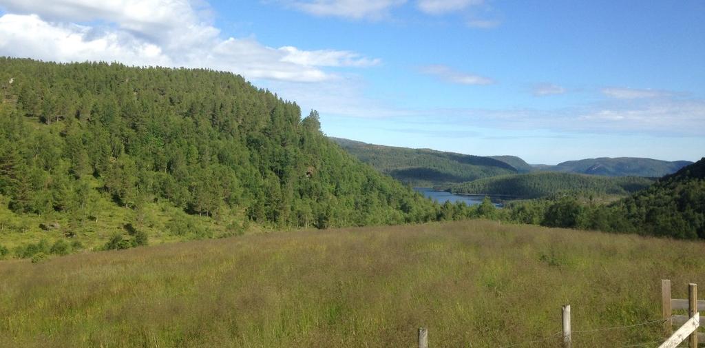 Med hjemmel i skogbruksloven og jordloven innførte Landbruksdepartementet i 1997 søknadsplikt og krav om godkjenning for bygging av nye landbruksveger og ombygging av eksisterende veger.