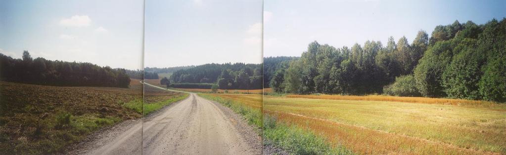 Stubberudveien sett fra nordvest. Foto: AFK 2002 3.3 Veier Fredningsområdet deles i tre av Froensveien, Kirkeveien og Stubberudveien.