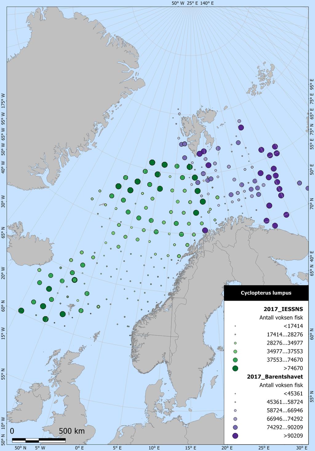 185 Havforskningsinstituttet, oktober 2018 3 Figur 2: Utbredelse av voksen rognkjeks i Norskehavet og Barentshavet i 2017. 2.1.1 I Norskehavet, IESSNS undersøkelse Rognkjeksbestanden er også vurdert basert på data som er samlet inn under IESSNS undersøkelsene i Norskehavet.