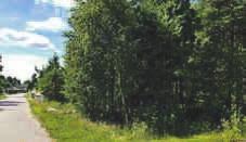 Beliggenhet Tomten er beliggende på Ise ved et etablert boområde 3 TOMTER