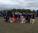 4. plass Arctic Roses Kennel Innehavere: Anne Britt og Laila Mailund Tellende poeng *11-9-9-6-4* = 39