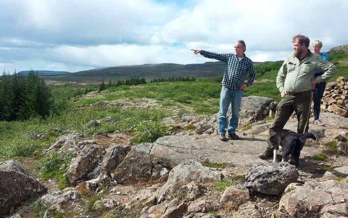 Birgir Hauksson, aðstoðarskógarvörður Á Vesturlandi, sýnir Valdimari Reynissyni, skógarverði á Vesturlandi, og Sigríði Júlíu Brynleifsdóttur, sviðstjóra skógarauðlindasviðs, skóglendi í Borgarfirði.