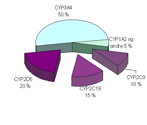 VIKTIGE CYP-ENZYMER Genetisk årsak til variasjon i