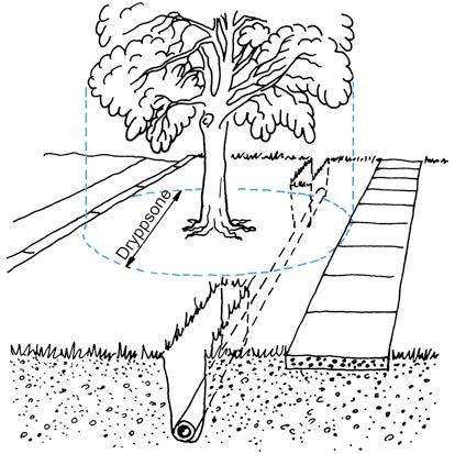 6 513.710 Fig. 562 a Eksempel på pressing og boring av rør 57 Vanning For å lykkes i å bevare trær under anleggsperioden er det ofte nødvendig med kunstig vanntilførsel.