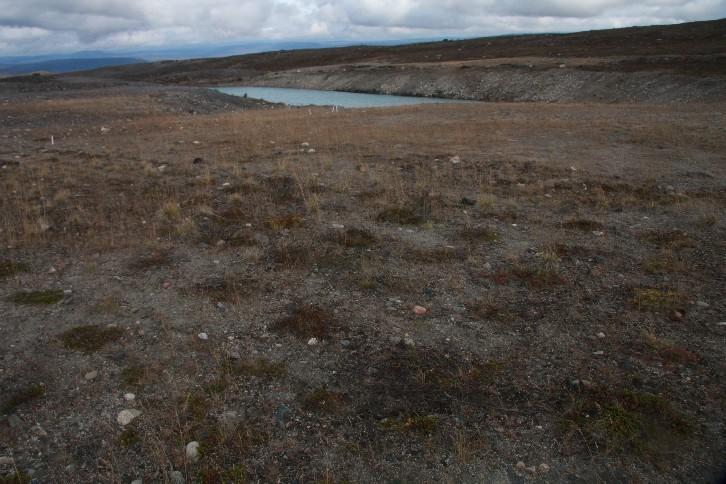 Luonddugáhttenlihtu molsaeaktu Máhcáhit Biedjovákki meahccin Revegeteren galgá guoskat OLLES biliduvvon