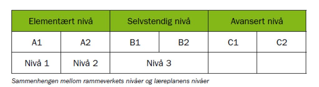 Underveisvurdering 3. -10. trinn Viktige spørsmål Hvor er eleven i sin språkutvikling? Når skal eleven overføres til nærskolen?