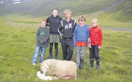 2 Bændablaðið fimmtudagur 27. ágúst 2009 Fréttir Verðbreytingar á mjólk og mjólkurvörum Þann 1. ágúst sl. tóku gildi breytingar á verði á ýmsum mjólkurafurðum sem verðlagsnefnd búvöru gerði þann 10.