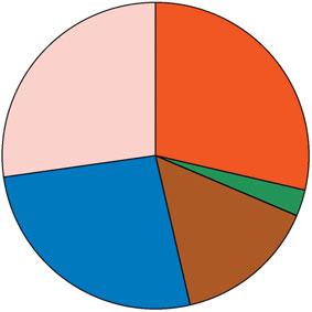 18 Bændablaðið fimmtudagur 27. ágúst 2009 Á markaði Breytingar á kjötmarkaði Á síðustu mánuðum hafa orðið miklar breytingar á framboði og sölu helstu kjöttegunda á innanlandsmarkaði.