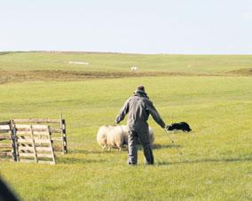 Til þess var tekið að Íslendingar nutu þá Marshallaðstoðar eins og þjóðir á meginlandi Evrópu sem voru í rúst eftir heimsstyrjöldina.