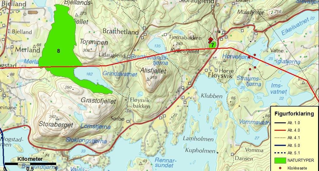 Ny 420 kv forbindelse Lyse Stølaheia Mai 2013 Tabell 5.7. Viktige lokaliteter for naturtyper, vegetasjon og flora i traseen.