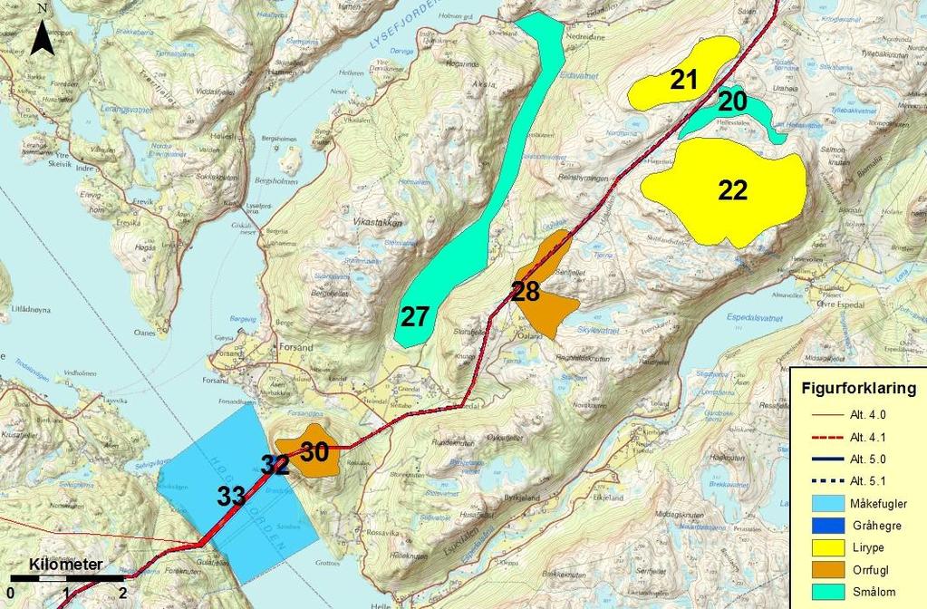 Traseen berører et tyngdeområde for hekkende og næringssøkende smålom i fylket. Haukalidvatnet er et viktig næringsområde for arten, men hekkeplassene ligger på dalskuldrene og noe innover fjellet.