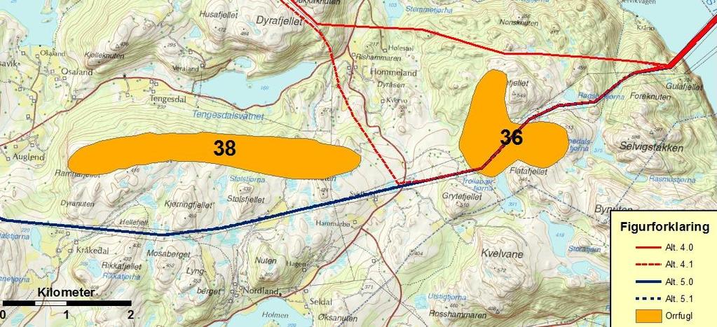 Ny 420 kv forbindelse Lyse Stølaheia Strandsnipe (NT). Vanlig forekommende ved flere av vannene i området i hekketiden. Trasé 4.1 (og delvis 5.0/5.1), Gulafjellet til felles trasé med 4.
