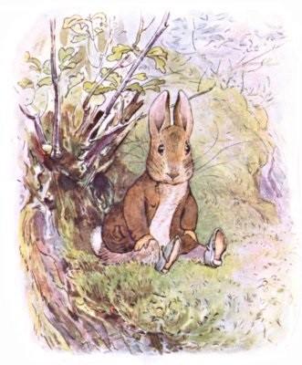 Fortellingen om Benjamin Blom En morgen satt en liten kanin i en skråning.
