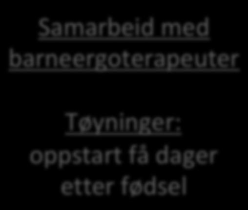 Samarbeid med barneergoterapeuter