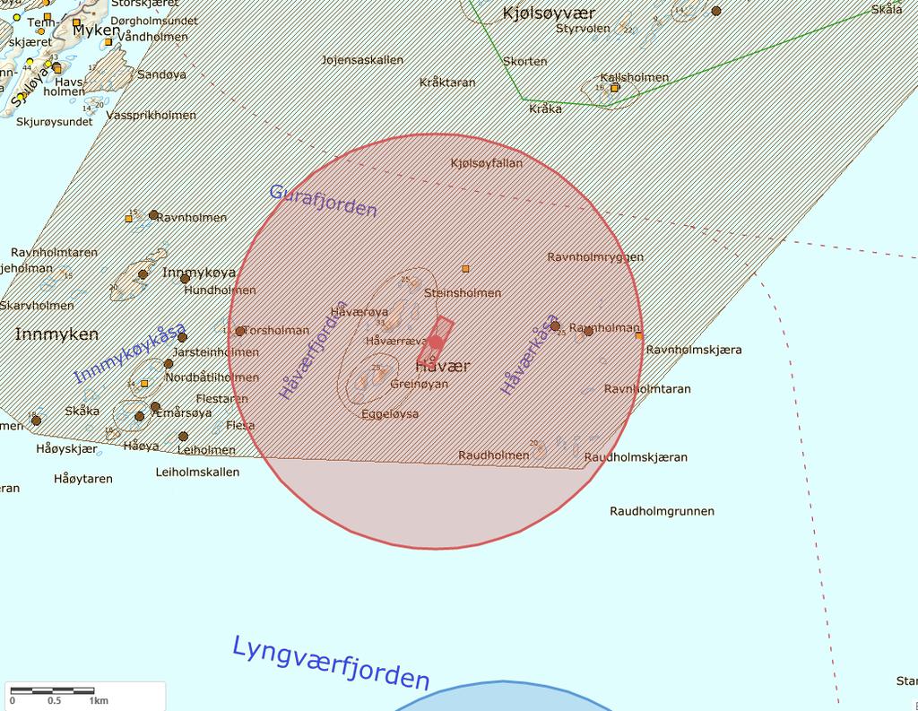 Tabell 2: Registrerte rødlistearter i en radius på 2,5 km av lokaliteten Håvær. VU = sårbar, NT = nær truet, LC = livskraftig. Kilde: Artsdatabanken.