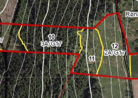 Men siden ei rute er en mye mindre enn et skogbestand vil man lett se variasjonen innad i bestandet. Dermed har man et bedre grunnlag for å planlegge hvor tiltak bør gjennomføres i bestandet.