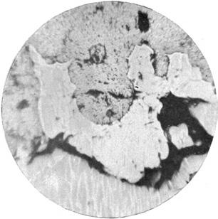 svovlkis, k = kobberkis, m = magnetkis, g =