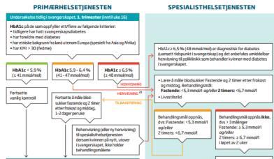 1) HbA1C Økt risiko? * Tidl. PE/skulderdys./HT/>4500g/perinatal død/misdannelser NB: HbA1C synker med 0,5% ila. 1.