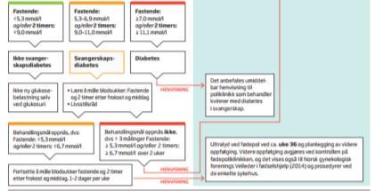 Hvem skal ha glukosebelastning?