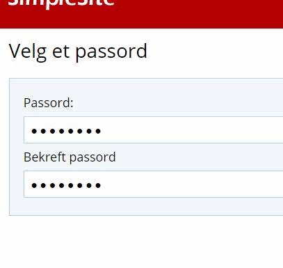 Du vil få bruk for passordet når du skal logge inn og redigere siden.