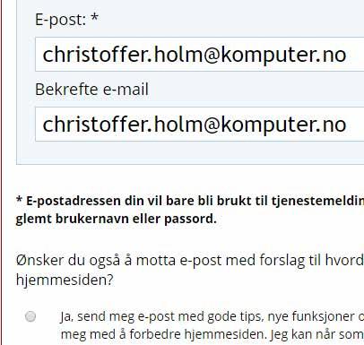 SimpleSite, og klikk på OK - videre.