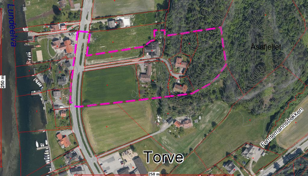 Vedtak: 1. I medhold av plan- og bygningsloven 12-12 vedtas forslag til detaljregulering for Åsafjellet vest Plan ID 21