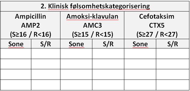 Ampicillin - Amoksicillin-klavulansyre -