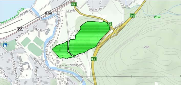 Det er registrert hekking av bl.a. grønnspett, flaggspett, perleugle og kattugle. Figur 23: Kulturlandskap: Beiteskog, Karlslyst med bjørkelunden. Kilde:Naturbase.